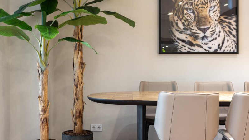 pexels-heyho-7195526