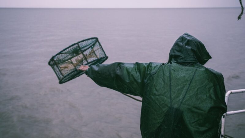 pexels-maotuizhutuzi-4777670