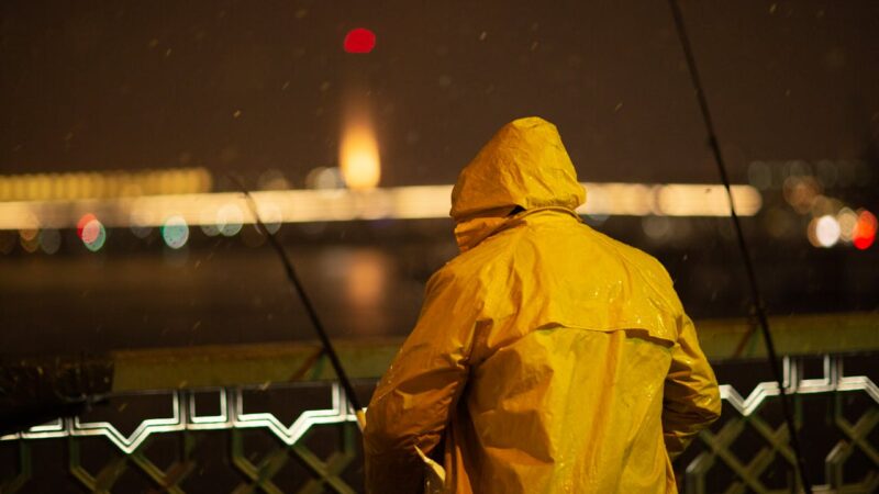 pexels-sametcolakoglu-10974626